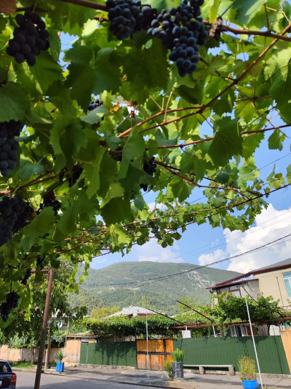 Chveni Ezo Ξενοδοχείο Ambrolauri Εξωτερικό φωτογραφία