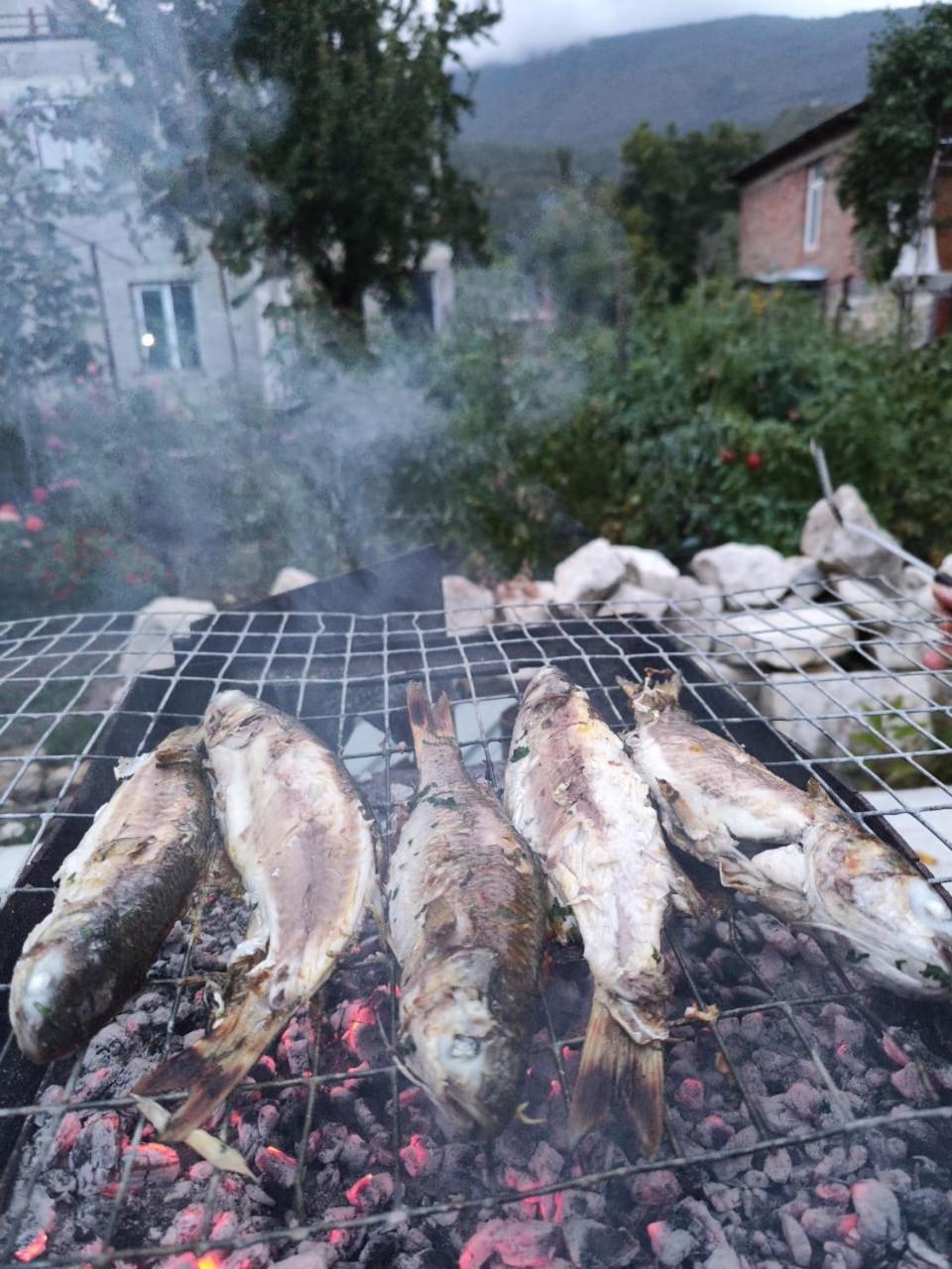 Chveni Ezo Ξενοδοχείο Ambrolauri Εξωτερικό φωτογραφία